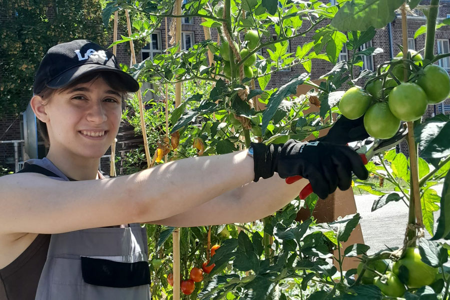 Lisa bei der Tomatenpflege bei der Imaginata