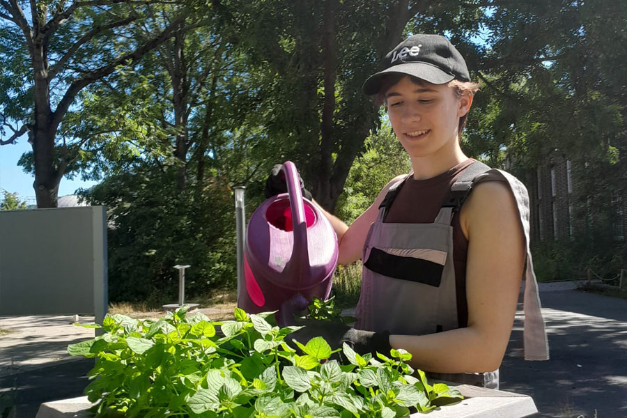 Lisa an den Hochbeeten bei der Imaginata