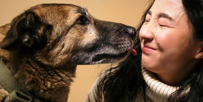 Ein Hund schnuppert an ihrer betreuenden Person. Tierschutz und Tierpflege