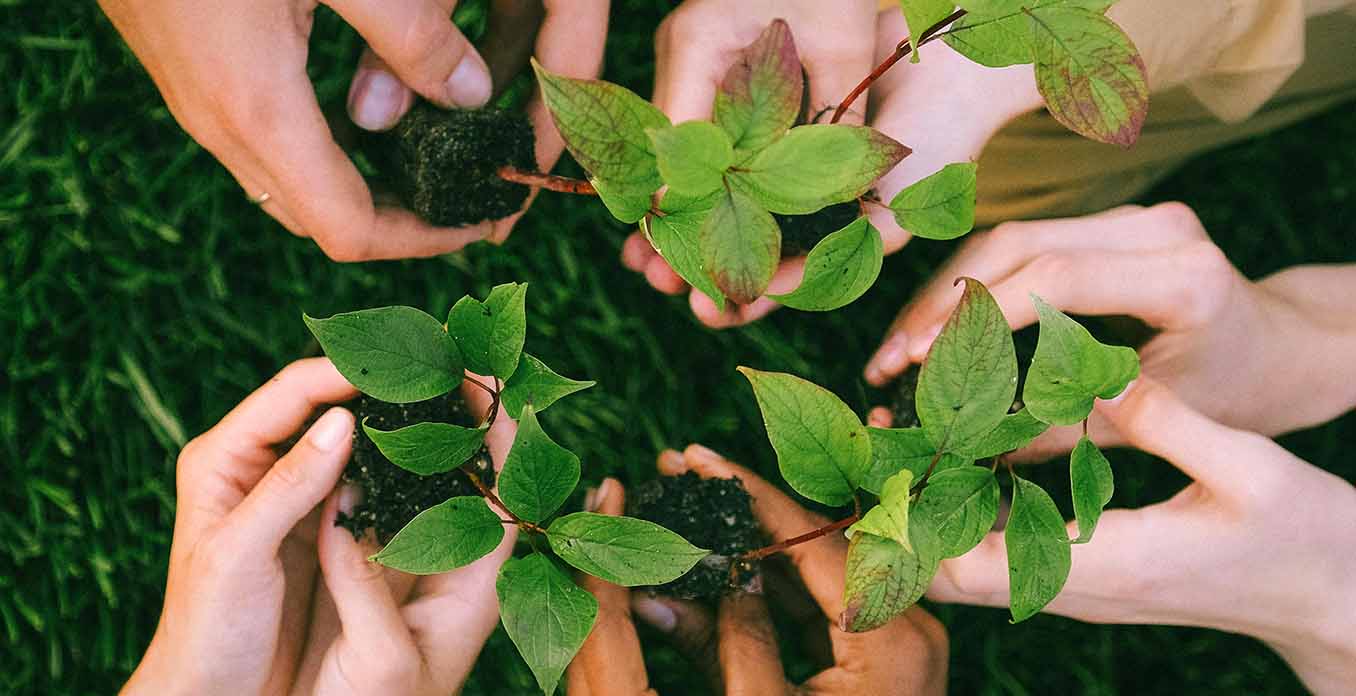 Verantwortung für Natur und Umwelt